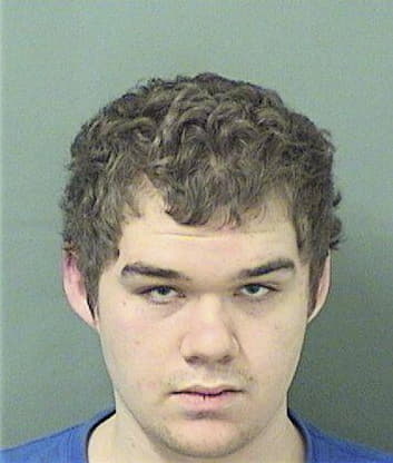 Nicholas Ludovico, - Palm Beach County, FL 